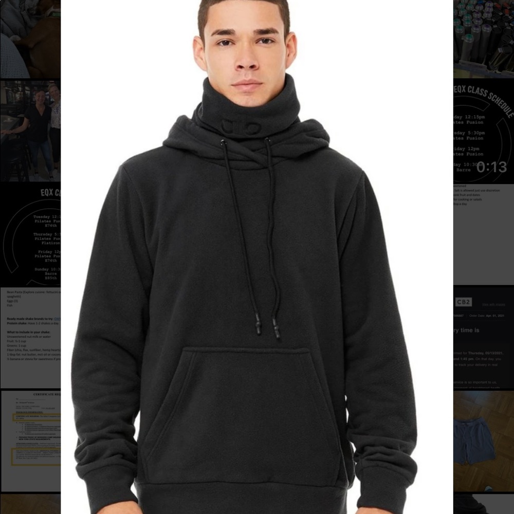 ALO Yoga Brisk Hoodie